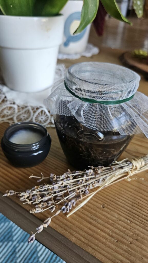 Oleolito di lavanda con olio di cocco - Barattolo